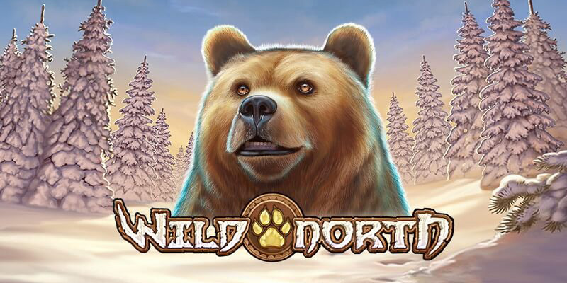 wild-north-slot